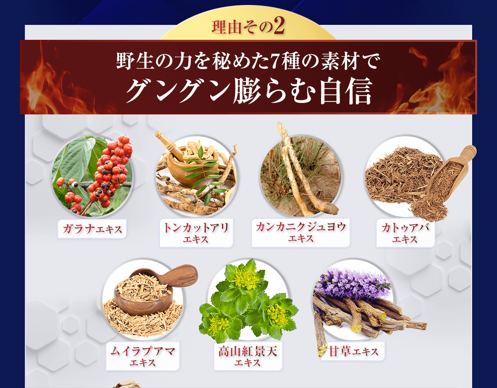 理由その2、野生の力を秘めた7種の素材でグングン膨らむ自信
