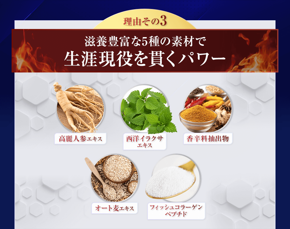 理由その3、滋養豊富な5種の素材で生涯現役を貫くパワー