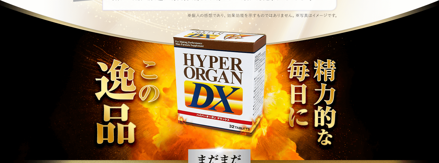 精力的な毎日にこの逸品
