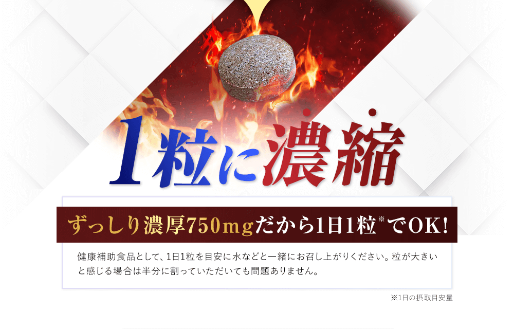 1粒に濃縮